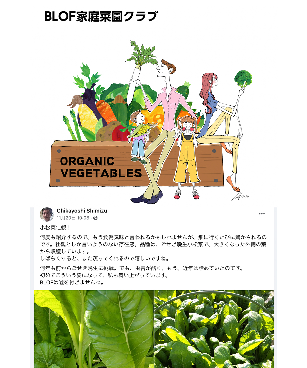 Facebook「BLOF家庭菜園クラブ」